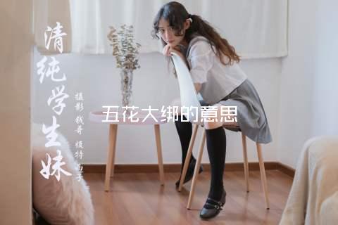 五花大绑的意思